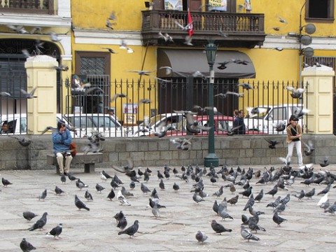 lima travel guide, peru