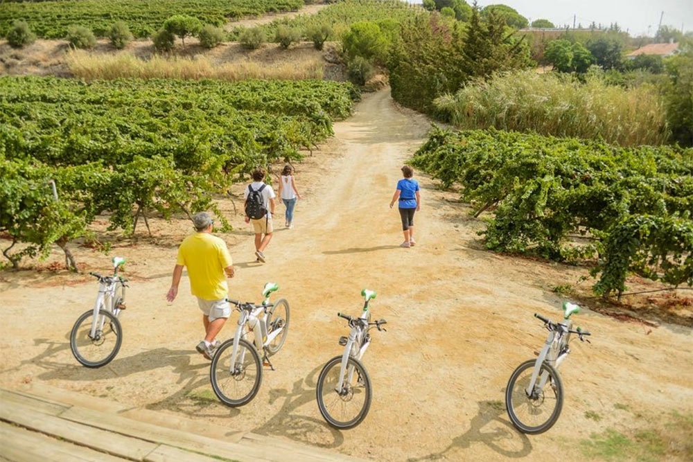 barcelona-ebike-wine-tour